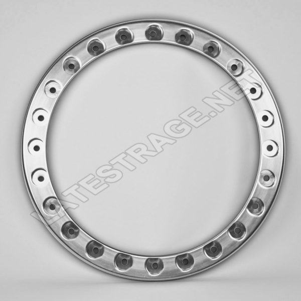 BTR BEADLOCK RINGS / 17" Polished / ea