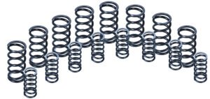 Dual Valve Spring Set Set8